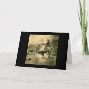 Soldat des Krimkrieges auf einem Kamel 1855 Karte