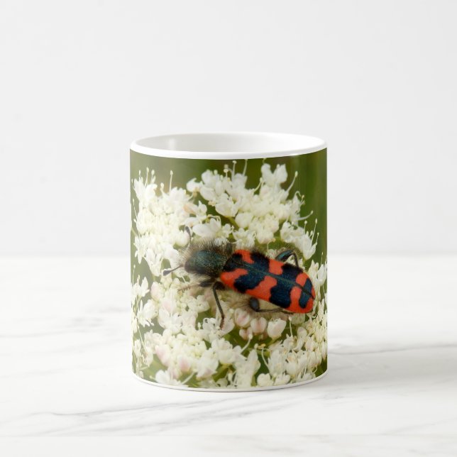 Soldat oder Käfer-Tasse Kaffeetasse (Mittel)