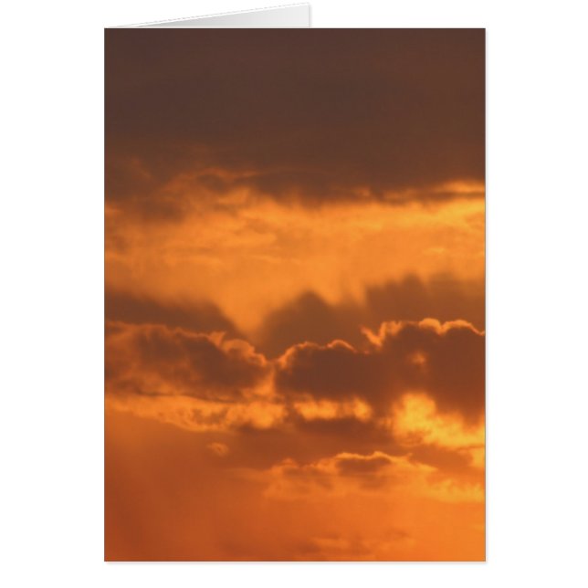 Soleil brillant (Devant)