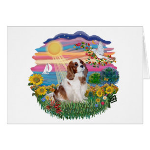 Soleil d'automne - Blenheim Cavalier