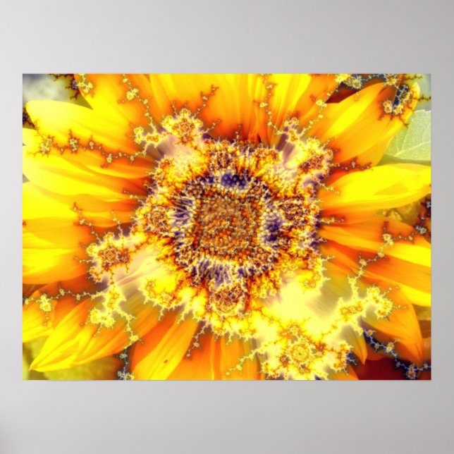 Soleil de floraison - Poster (Devant)