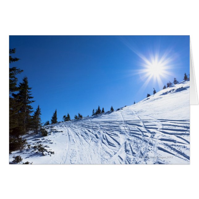 Soleil d'hiver 4 (Devant horizontal)