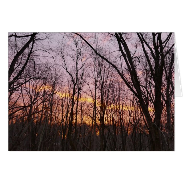 Soleil d'hiver II (Devant horizontal)