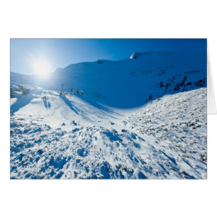 Soleil hivernal