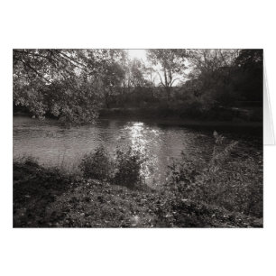 Soleil sur le Taff, Bute Park, Cardiff