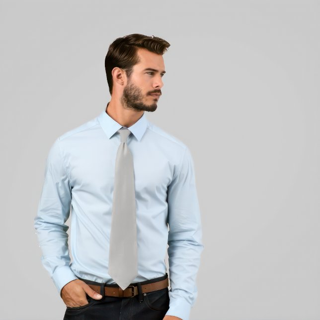 Solid Silver Krawatte (Man wears a Solid Silver Tie.)