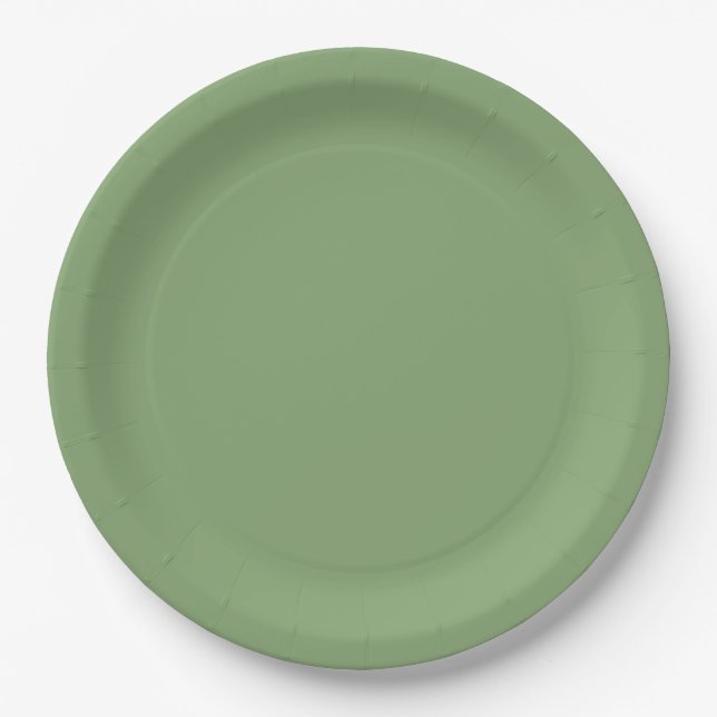 Solid Soft Green Pappteller (Vorderseite)