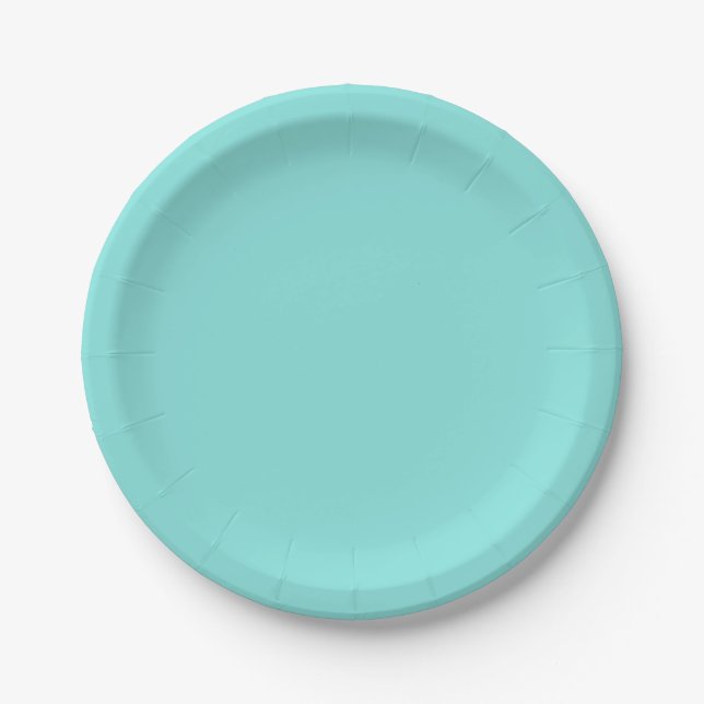 Solide Farbe mild aquamarin Türkis Pappteller (Vorderseite)