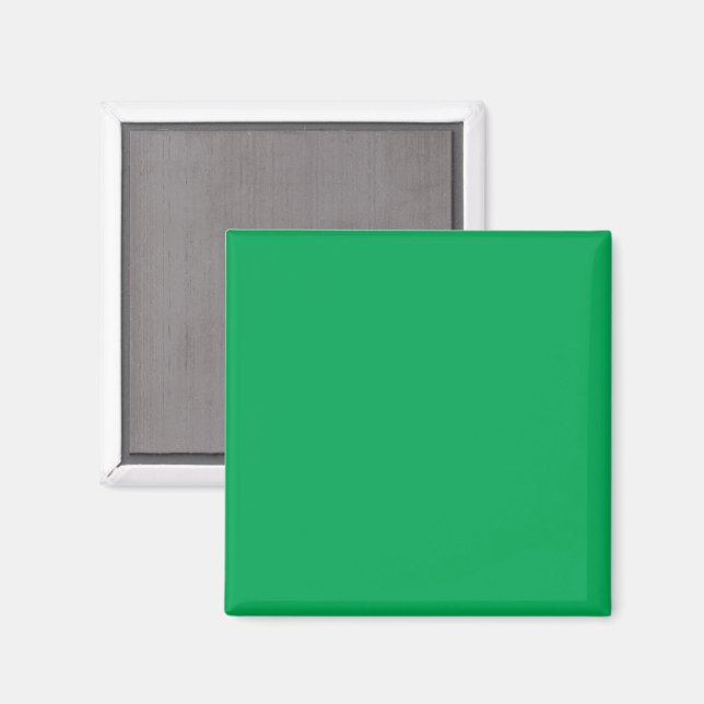 Solider grüner Hintergrund  Magnet (Vorderseite/Rückseite)