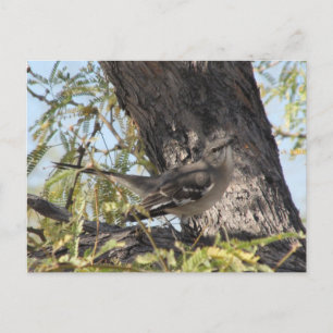 Solitaire-Postkarte von Townsend Postkarte