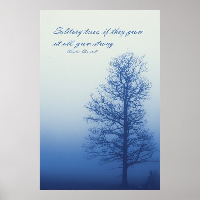 Solitäre Bäume wachsen stark - Silhouette in Nebel Poster (Vorne)