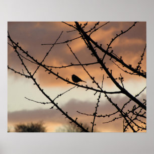 Solitäre Silhouette Poster