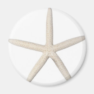 Solitärfisch Magnet