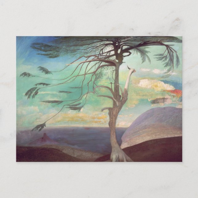 Solitary Cedar, 1907 Postkarte (Vorderseite)