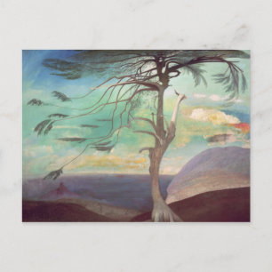 Solitary Cedar, 1907 Postkarte