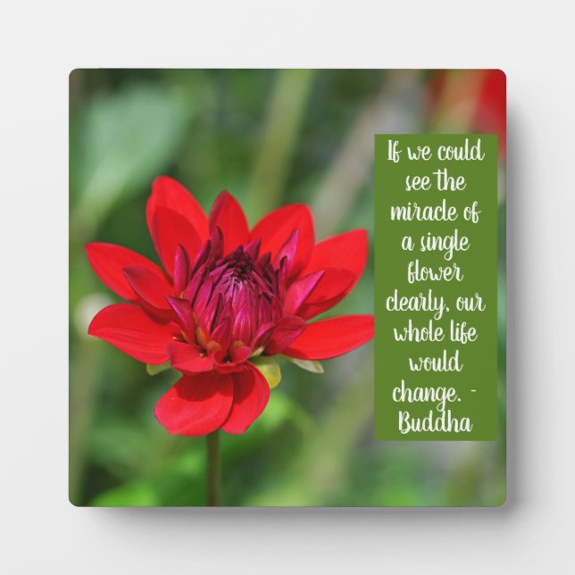 Solitary Red Dahlia Blume Wisley Motivierend Fotoplatte (Vorderseite)