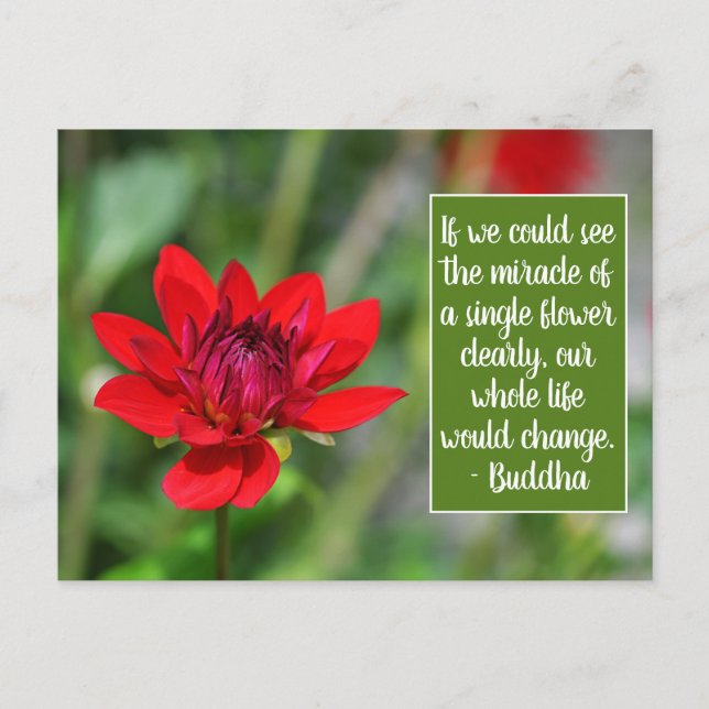 Solitary Red Dahlia Blume Wisley Motivierend Postkarte (Vorderseite)