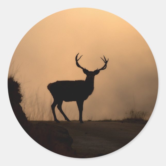 Solitary Red Stag Stickers (Vorderseite)