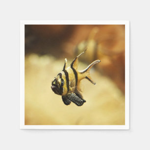 Solitary Stripion Angelfish Serviette