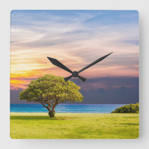 Solitary Tree Quadratische Wanduhr