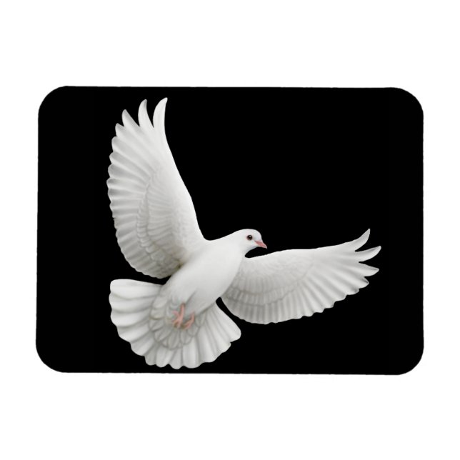 Solitary White Dove Premium Magnet (Horizontal)