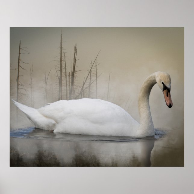 Solitude Poster (Vorne)