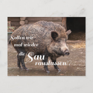 Sollen wir mal wieder die Sau raus?? Postkarte