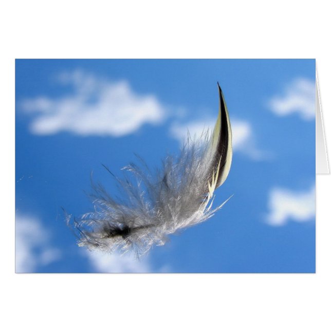 Solo- Flug (Licht als Feder) (Vorderseite (Horizontal))