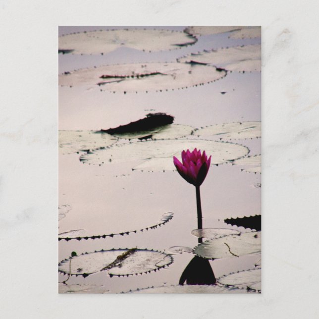 Solo-tus | Kambodscha Postkarte (Vorderseite)