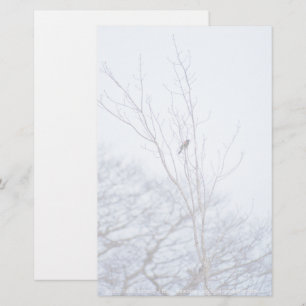 Soloist Briefpapier