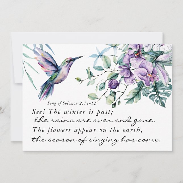 Solomon 2 Hummingbird Bible Flat Card Song (Vorderseite)