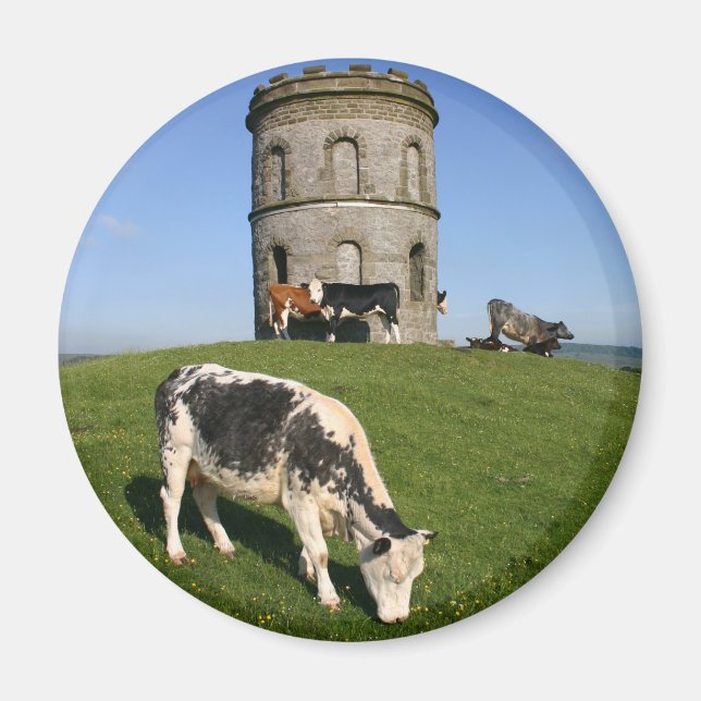 Solomon-Tempel-Kühlschrankmagnet Magnet (Vorne)