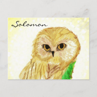 Solomon the Wise Owl From Sara Books Postkarte
