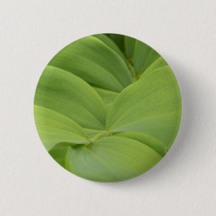 Solomons Siegel Abzeichen Button