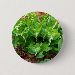 Solomons Siegel Abzeichen Button