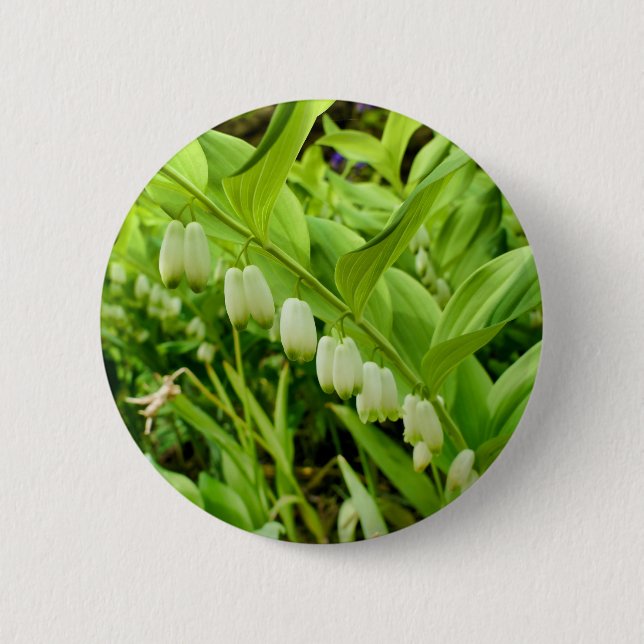 Solomons Siegel Abzeichen Button (Vorderseite)