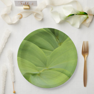 Solomons Siegel Papierplatte Pappteller