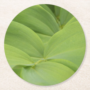 Solomons-Siegel Runder Pappuntersetzer