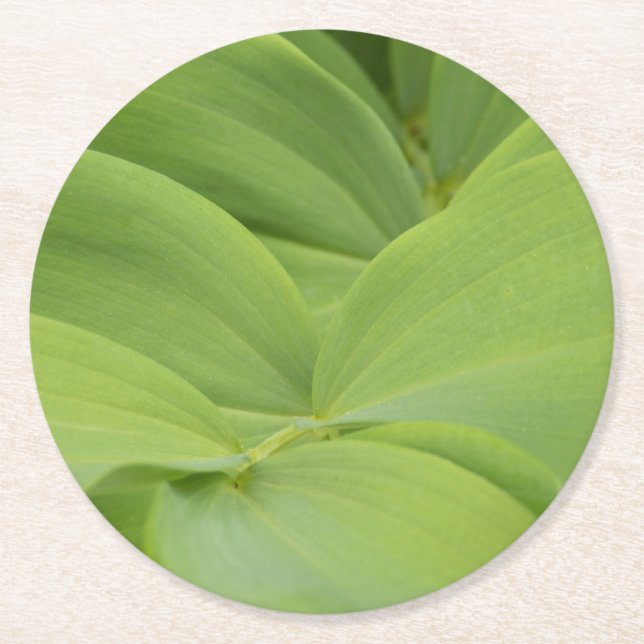 Solomons-Siegel Runder Pappuntersetzer (Vorderseite)