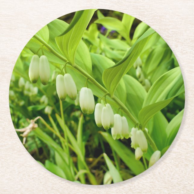 Solomons-Siegel Runder Pappuntersetzer (Vorderseite)