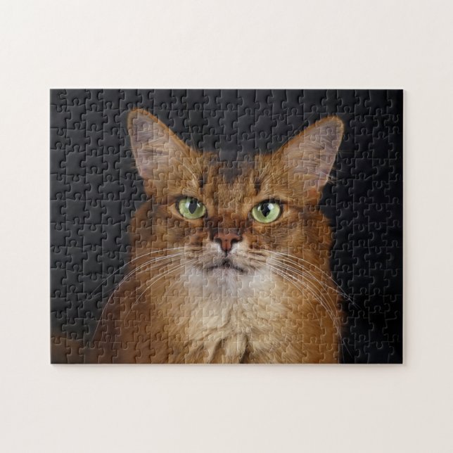Somali Cat Foto Portrait (Horizontal)