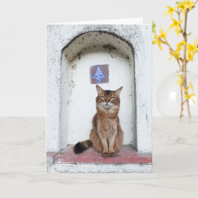 Somali Cat in Alcove Old World Scene Greeting Karte (Gelbe Blume)