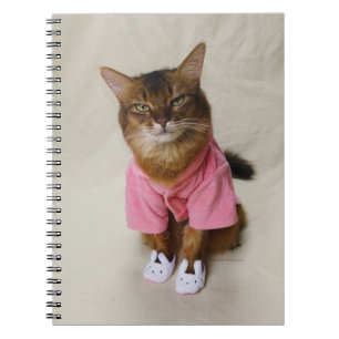 Somali Cat in Robe und Slippers Notizblock
