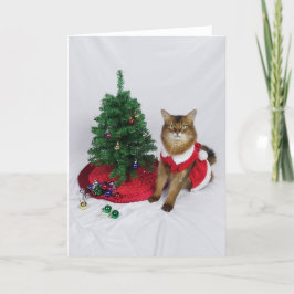 Somali Cat Santa Tree Dekorieren Weihnachtskarte Dankeskarte