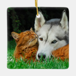 Somali Cat Siberian Husky Niedlich Friends Huddle  Keramikornament