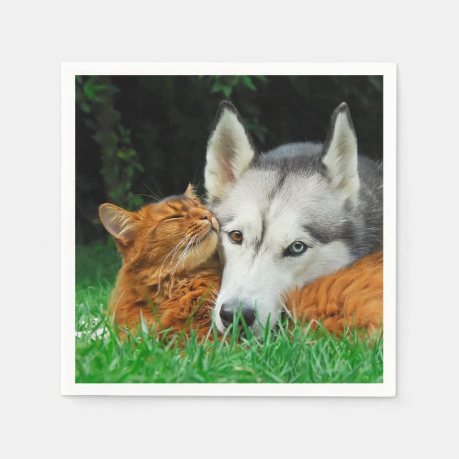 Somali Cat Siberian Husky Niedlich Friends Huddle  Serviette (Vorderseite)