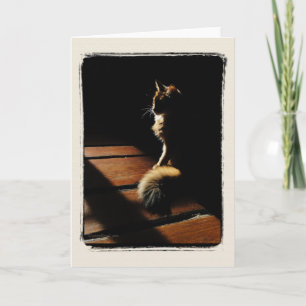 Somali Cat Silhouette Card Karte