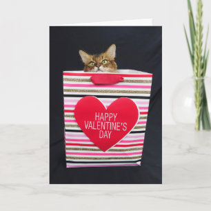 Somali-Katze in einer glücklichen Valentinstags-Ta Karte