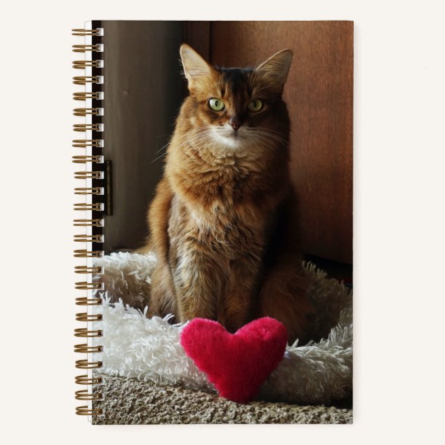 Somali Katze mit Herz Notizbuch (Vorderseite)