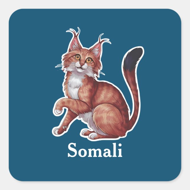 Somali Quadratischer Aufkleber (Vorderseite)